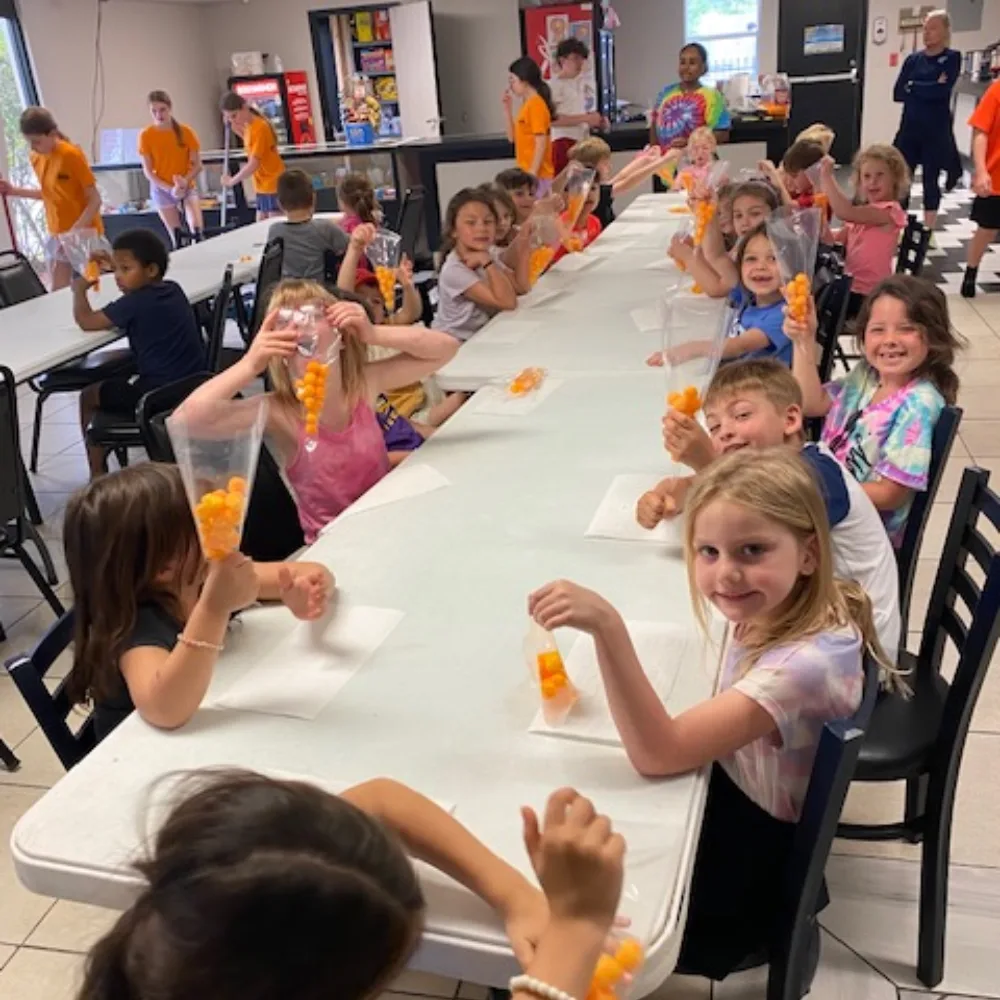 Mandeville Sports Complex